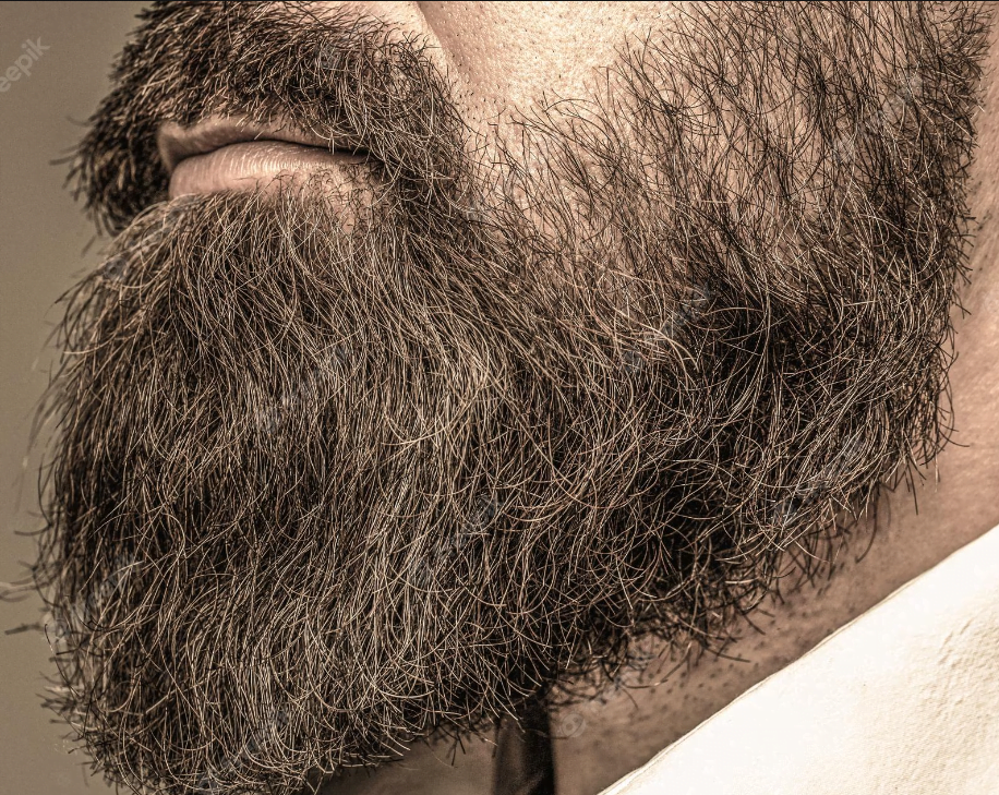 barba e1679590430924